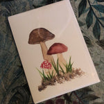 Shades of Shrooms Watercolour Card by Jed Designs