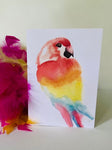 Scarlet Macaw Watercolour Card by Jed Designs