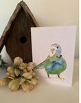Seafoam Budgie Watercolour Card by Jed Designs