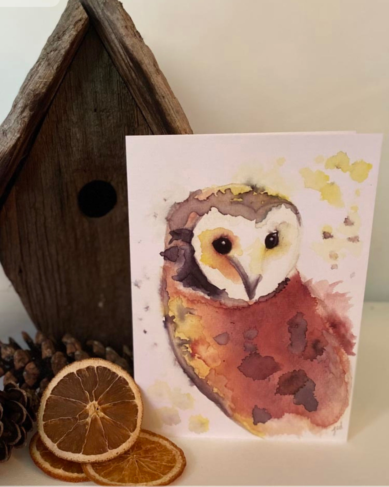 Whoot Baby Barn Owl Watercolour Card by Jed Designs